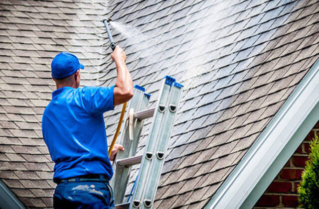 sammamish roof cleaning